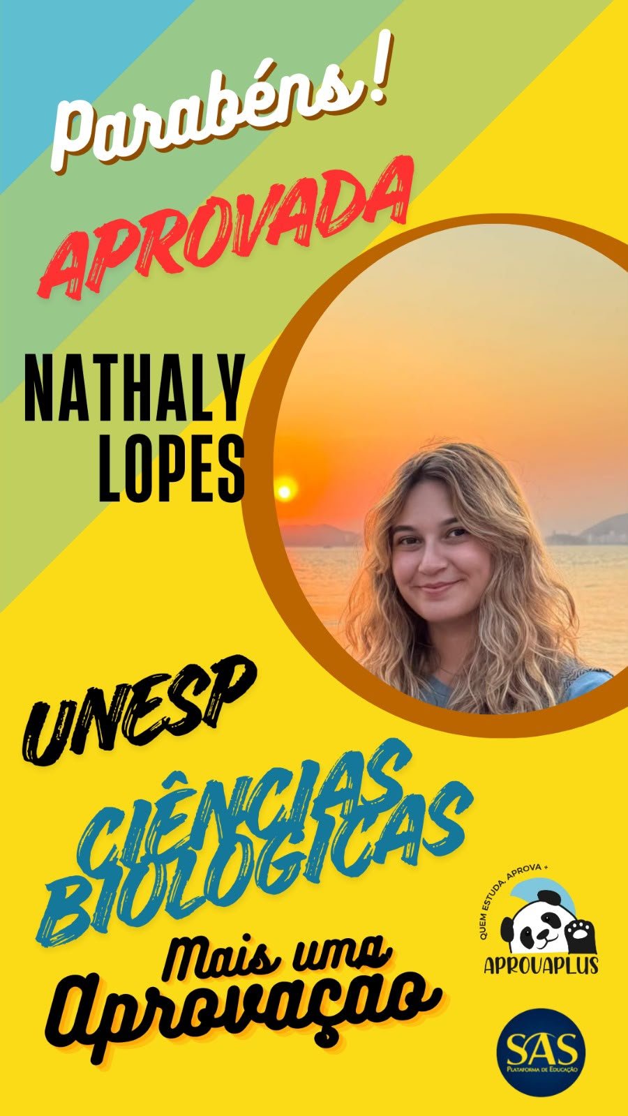 Aluno aprovado Aprova Plus 4