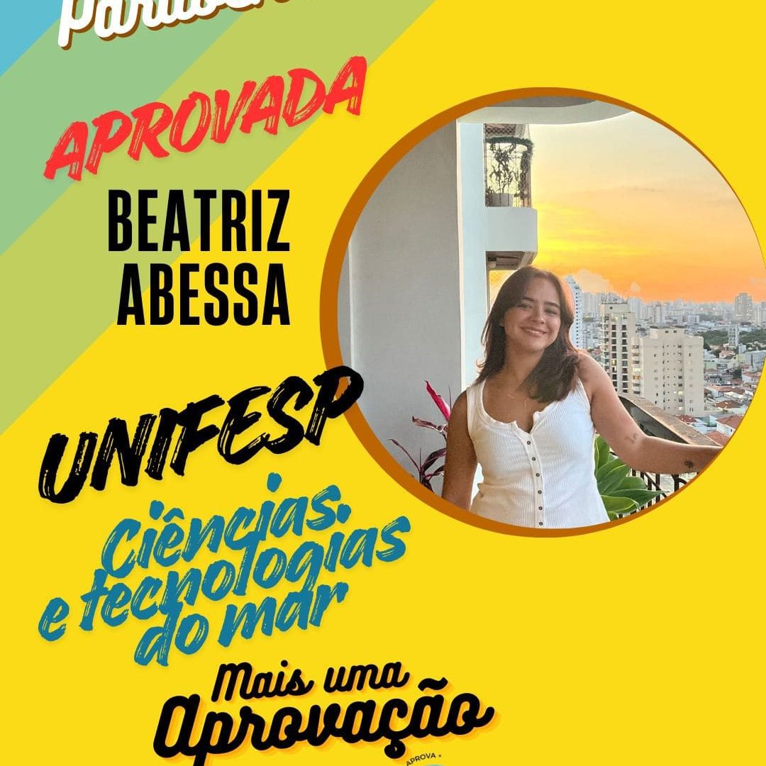 WhatsApp Image 2026-02-13 at 13.41.56